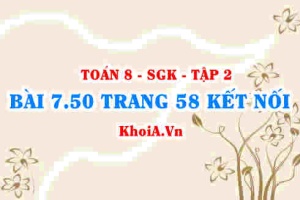 Bài 7.50 trang 58 Toán 8 Kết nối tri thức Tập 2